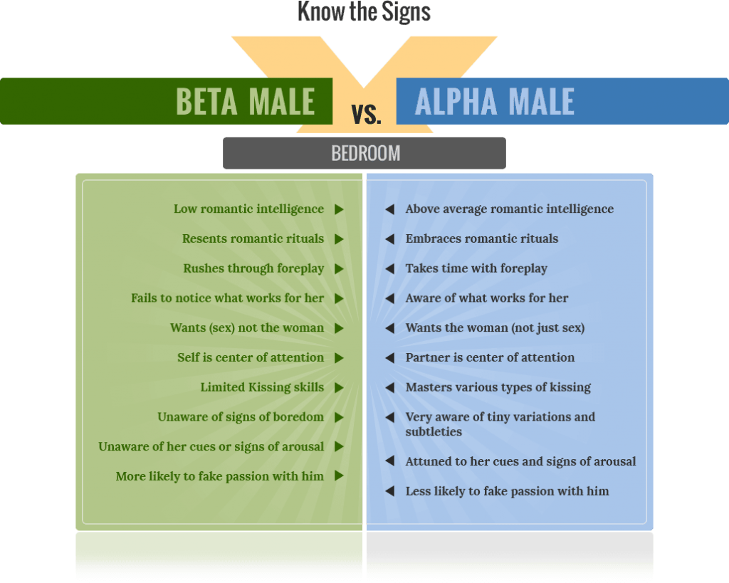 Beta_Male_vs_Alpha_Male_Bedroom-1024x819.png