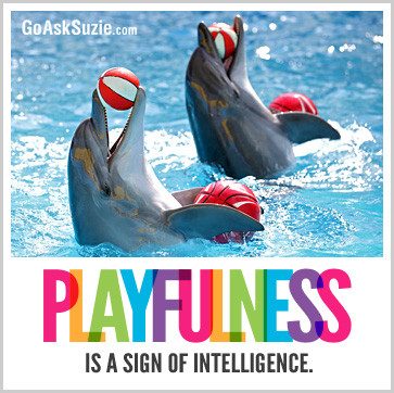 Playfulness-is-a-sign-of-intelligence-compressor.jpg