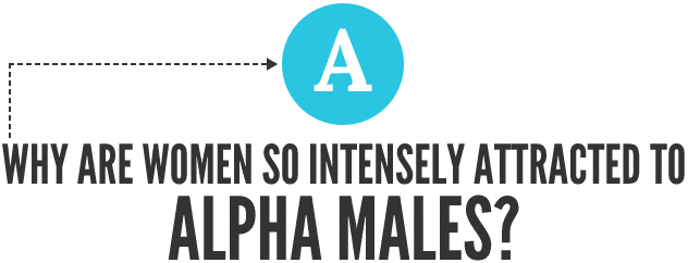 Why-Women-attracted-to-alpha-males-title-compressor.gif
